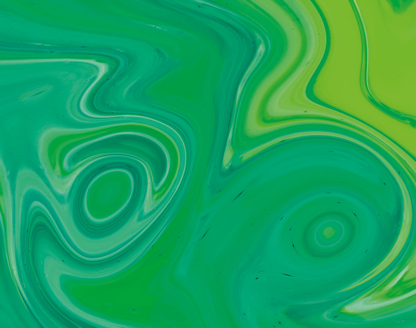 fondo_fpnavarra_fases_durante